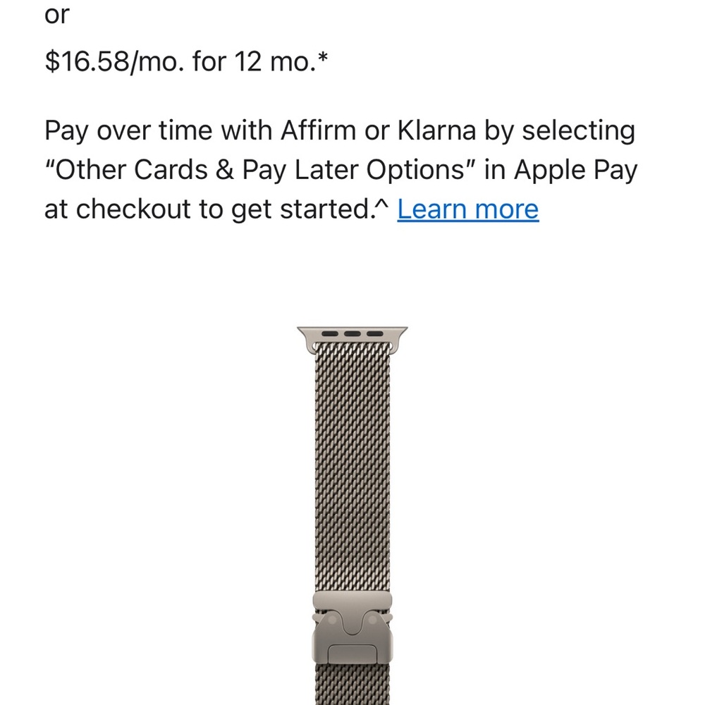 Apple 49mm Natural Titanium Milanese Loop -Large